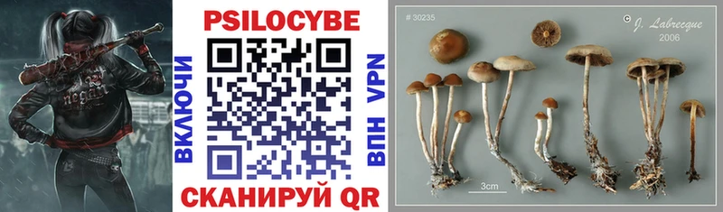 Галлюциногенные грибы ЛСД даркнет формула Красноуфимск